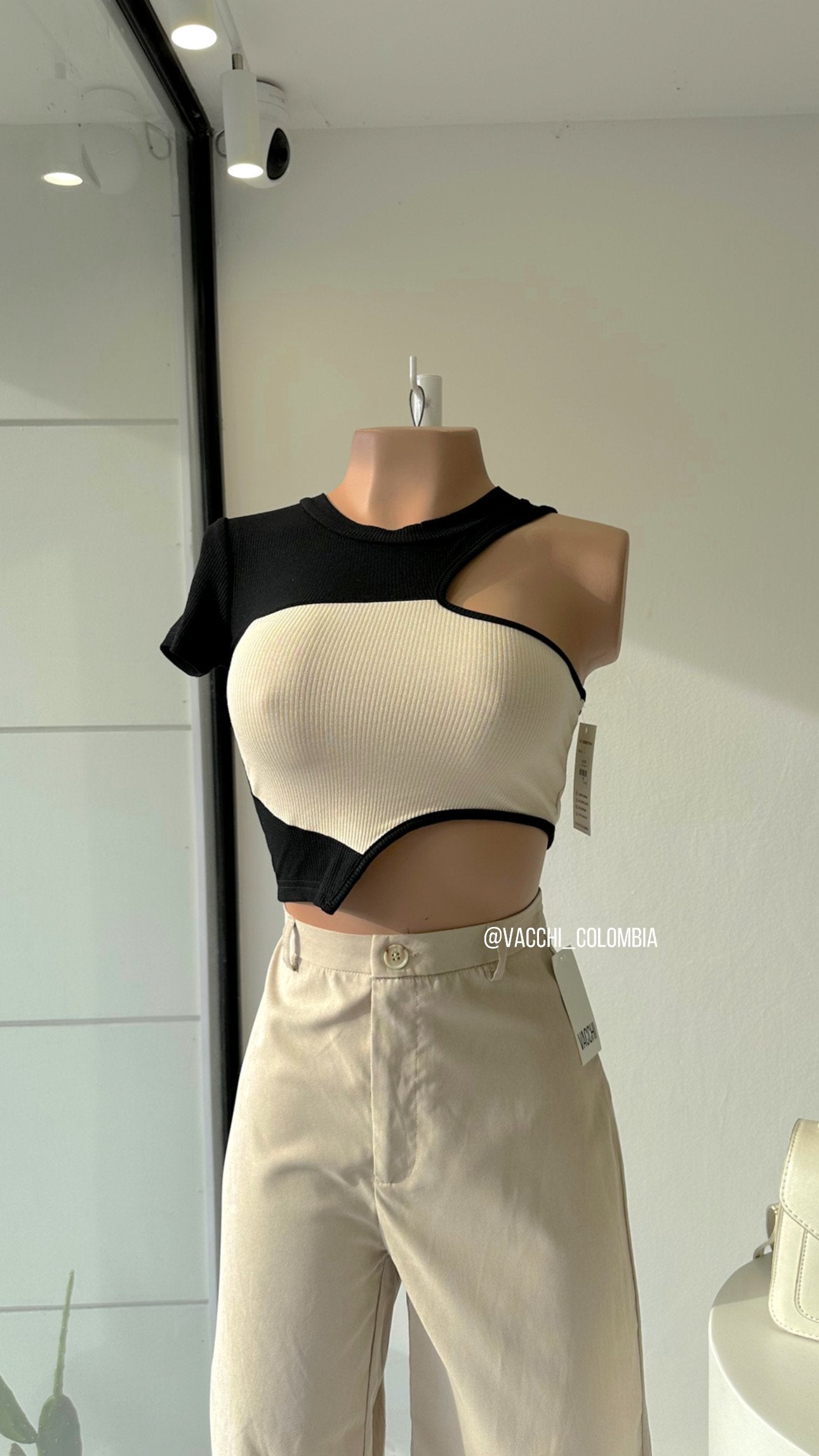 Vacchi