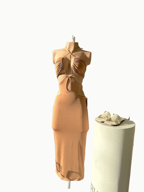 Vacchi