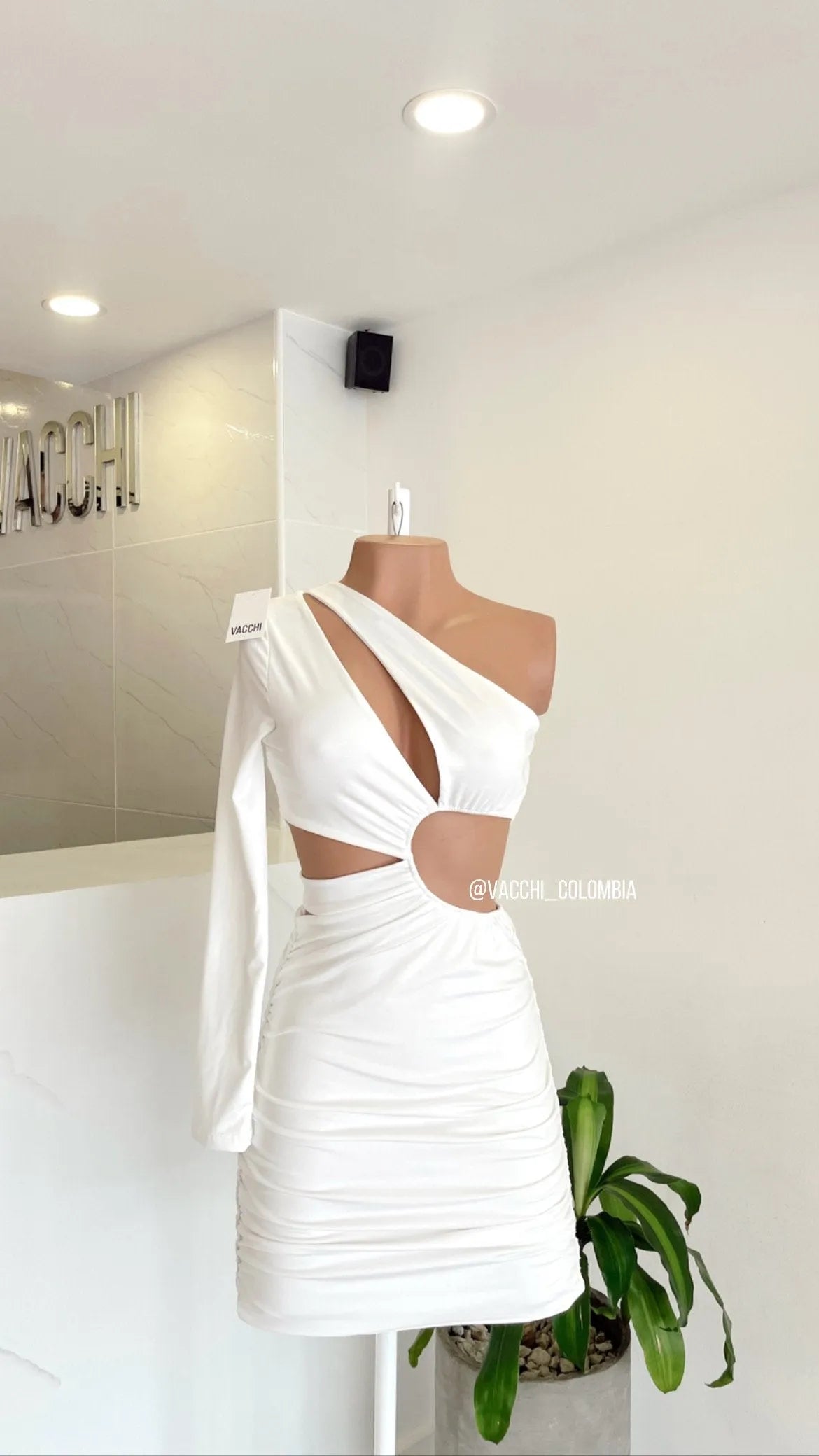 Vacchi
