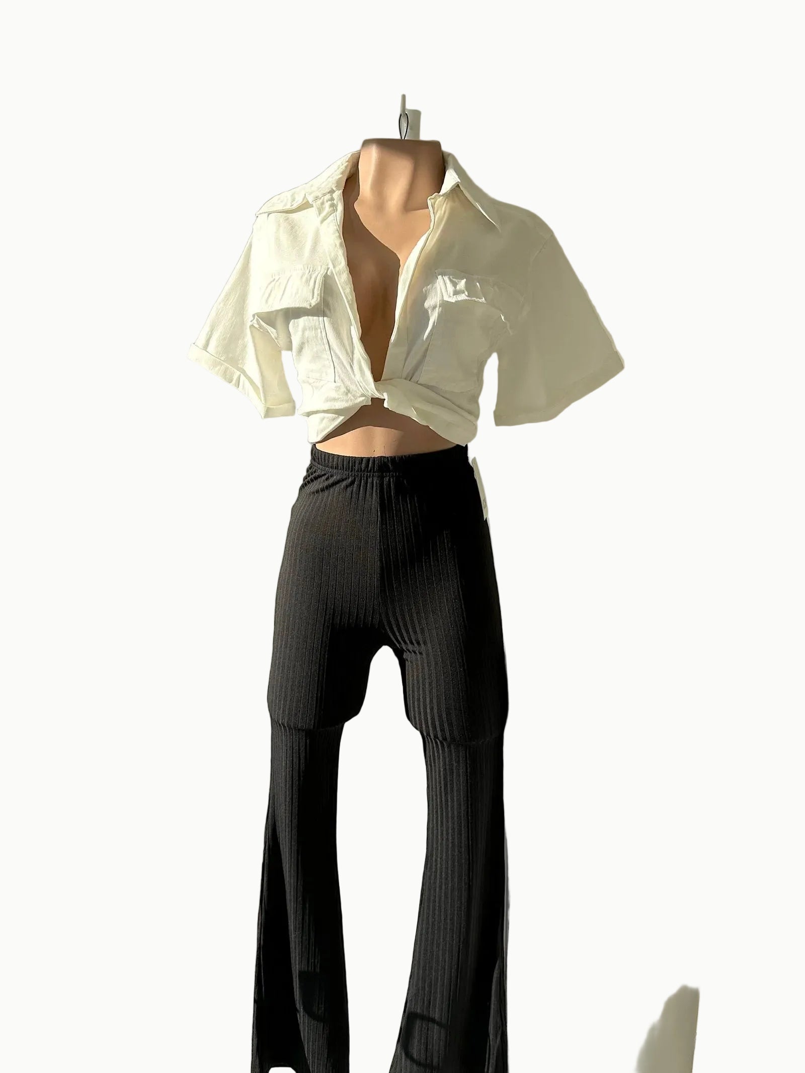 Vacchi
