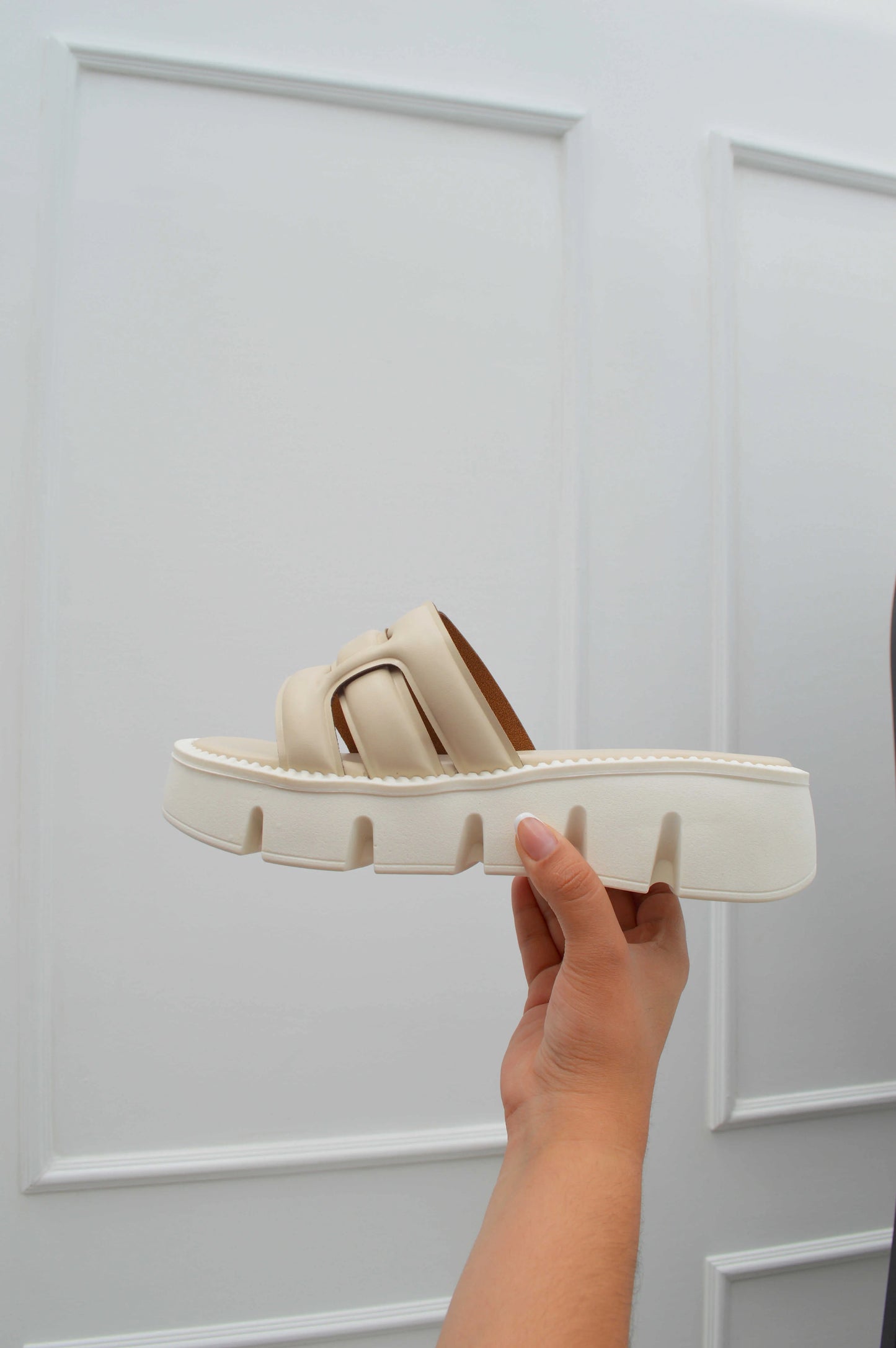 Vacchi